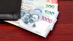 Préstamo Unimex Financiera