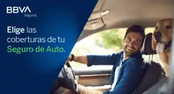 BBVA Auto Seguros, ¡un gran banco ayudándote en cada paso!